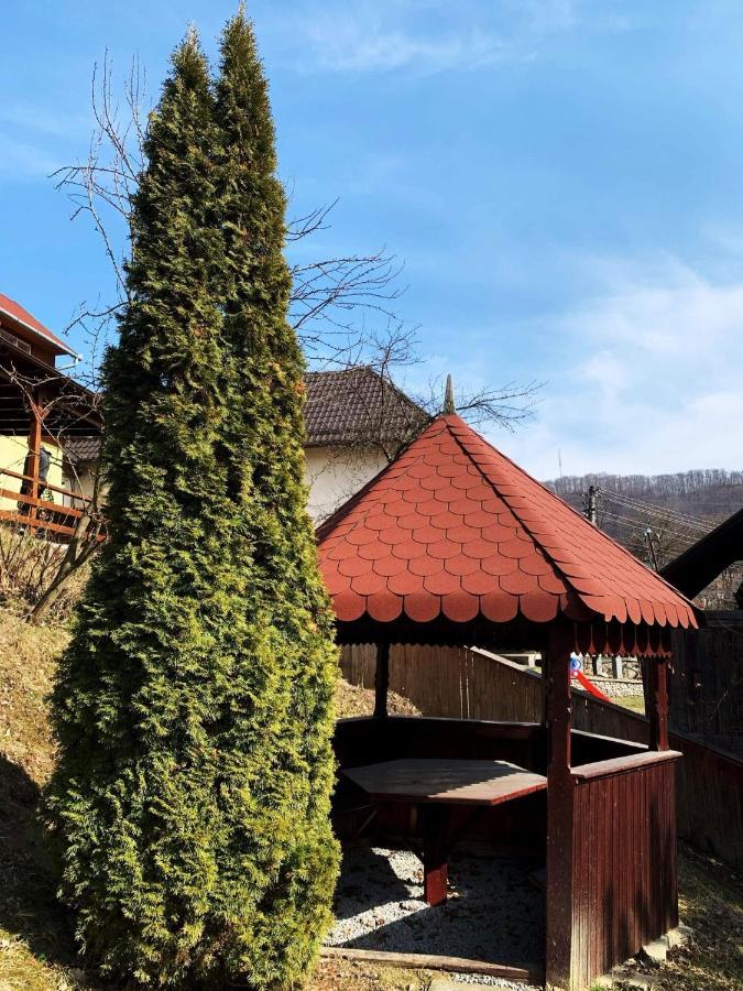 Casa Gyero Villa Sovata Buitenkant foto