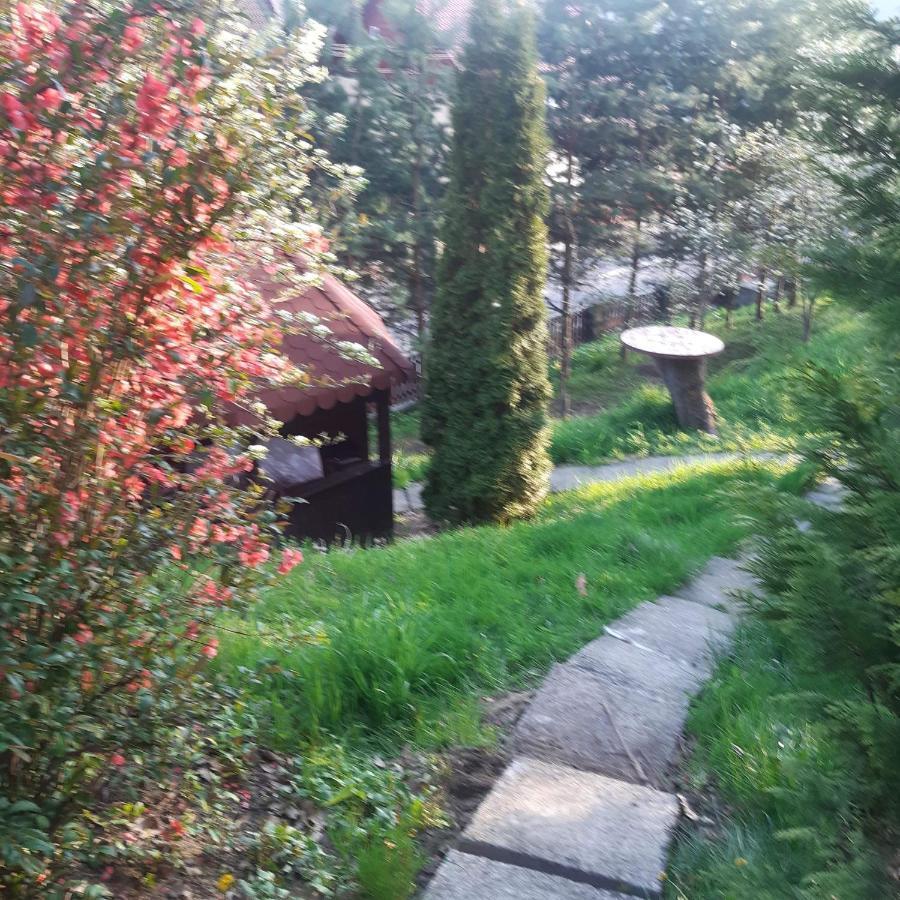 Casa Gyero Villa Sovata Buitenkant foto